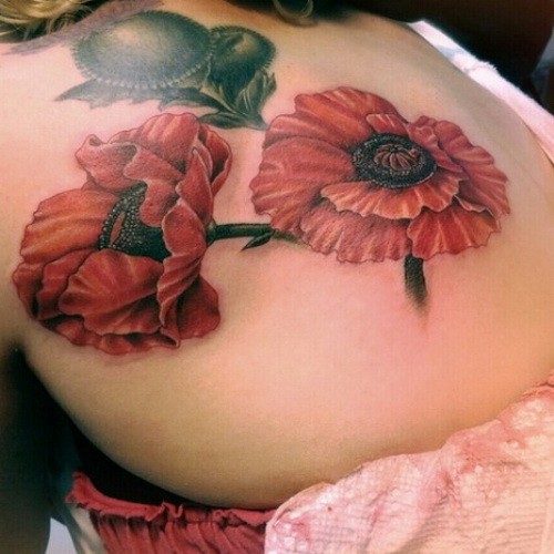 Tatuaje en la espalda,
dos amapolas hermosas detalladas