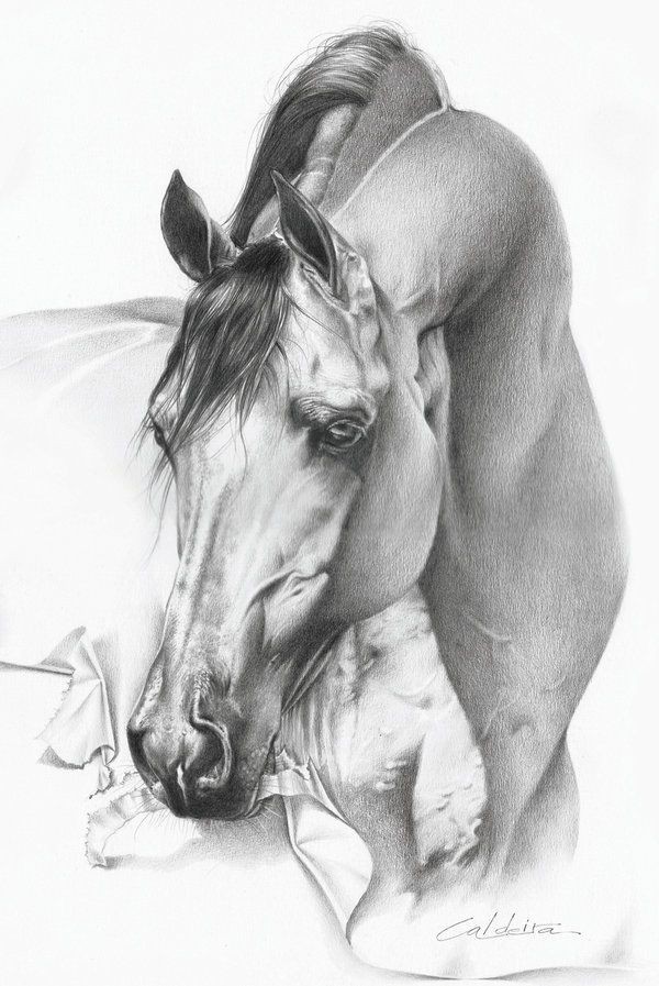 Beautiful realistic white horse tattoo design