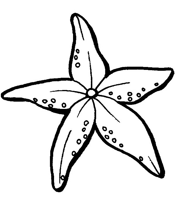 Beautiful soft flower-shaped starfish tattoo design