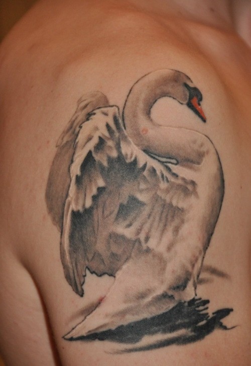 Tatuaje en el brazo, cisne blanco realista con alas desplegadas