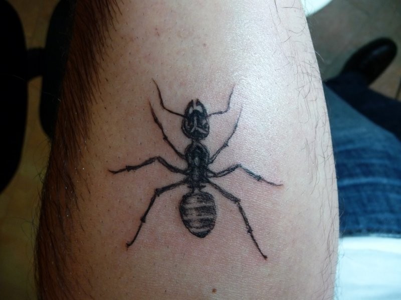 Big black-ink ant tattoo on arm