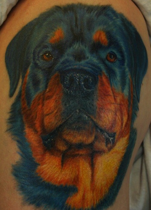 Großes Farbtattoo mit süßem Rottweiler Kopf