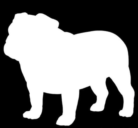 Big white bulldog silhouette on black background tattoo design