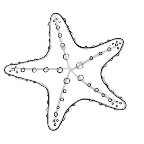 Black-and-grey starfish with pimples tattoo design