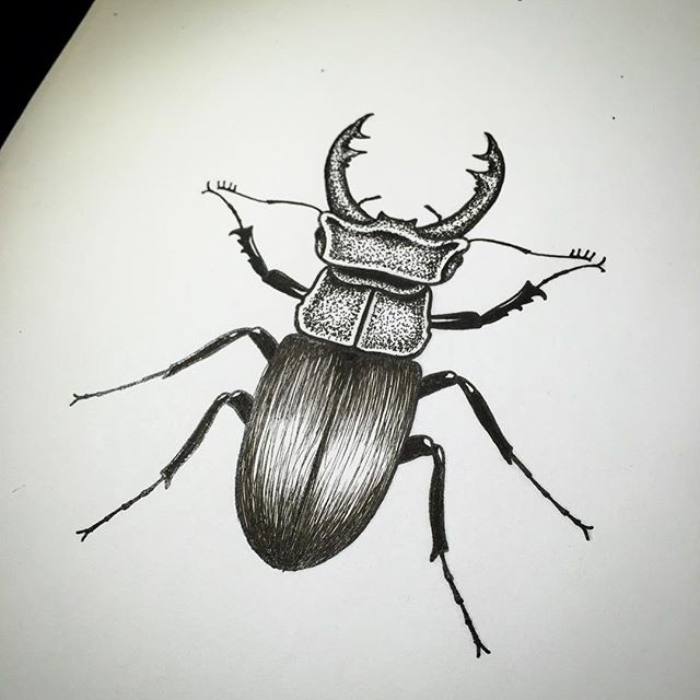 Black-and-white bug with dotwork effect tattoo design
