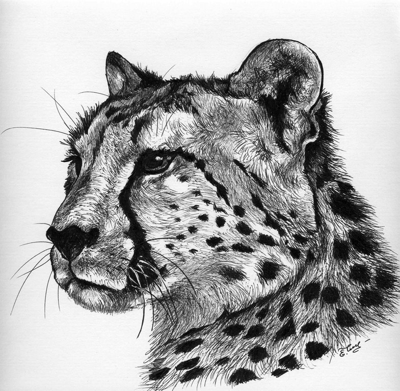 Black-and-white cheetah portrait in profile tattoo design