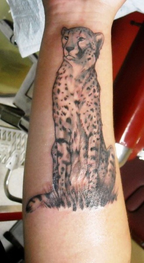 Black-and-white cheetah sitting on grass tattoo on arm