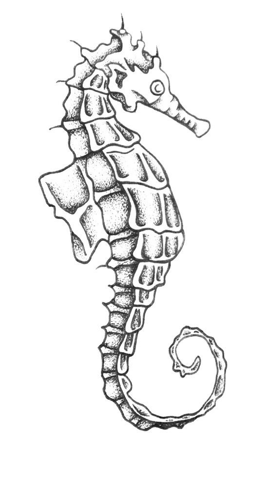Black-and-white dotwork seahorse tattoo design