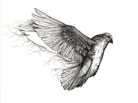 Black-and-white dove on broken stone background tattoo design