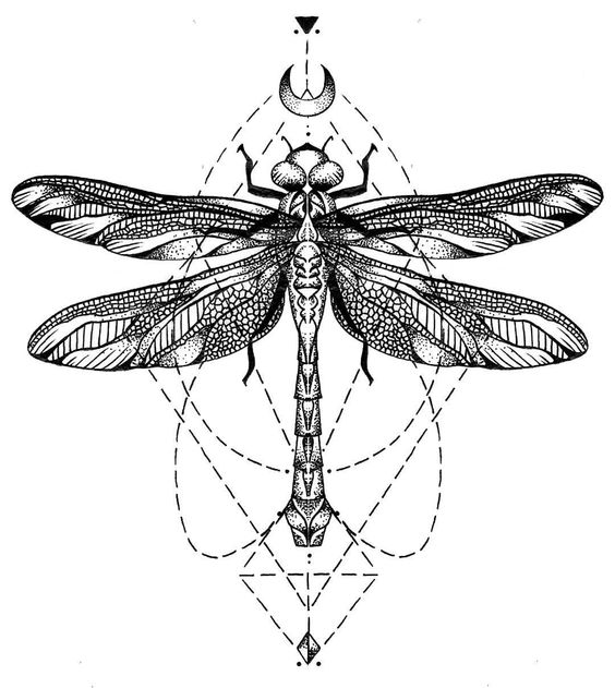 Black-and-white dragonfly on geometric drawings tattoo design