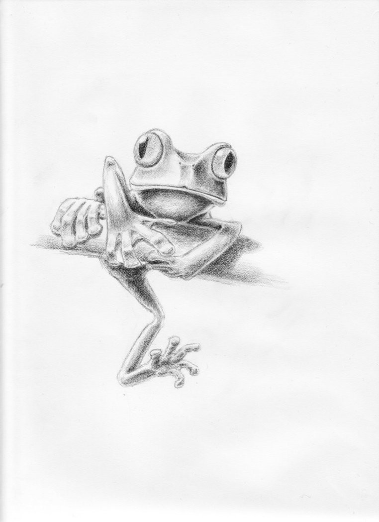 Black-and-white frog sitting on branch tattoo design by Mjedewaard