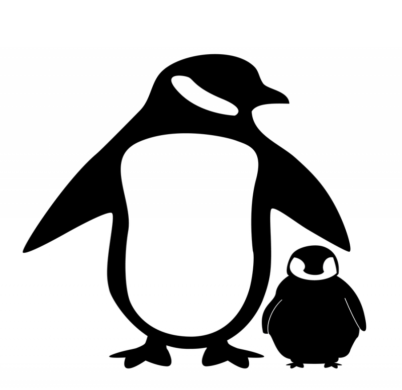 Black-and-white mom and cub penguins tattoo design by Shaunqb