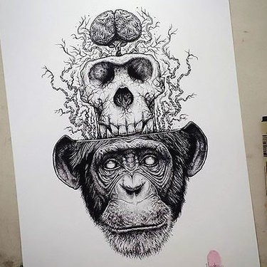 Black-and-white monkey devided into skull and brain tattoo design