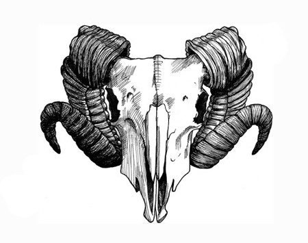 Black-and-white ram skull tattoo design