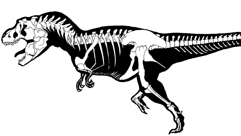 Black-and-white rex dinosaur skeleton tattoo design by Full Metal Devil