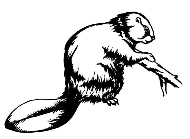 Black-and-white rodent keeping a thick branch tattoo design