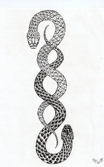 Black-and-white snake plexus tattoo design