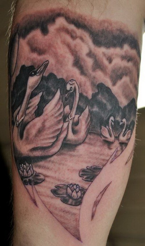 bellissimo nero e bianco cihni su lago con fiori loto tatuaggio su braccio
