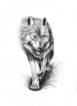 Black-and-white wolf walking forward tattoo design
