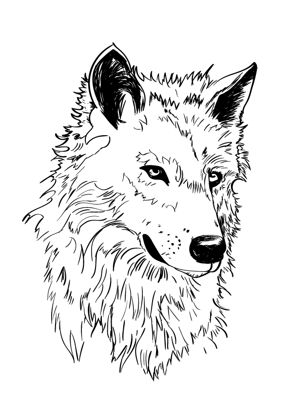 Black-contour wolf portrait tattoo design
