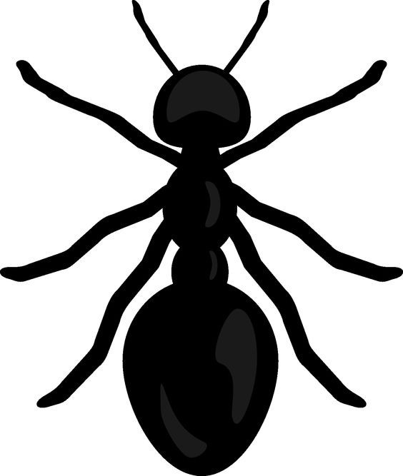 Black ant with shadows tattoo design