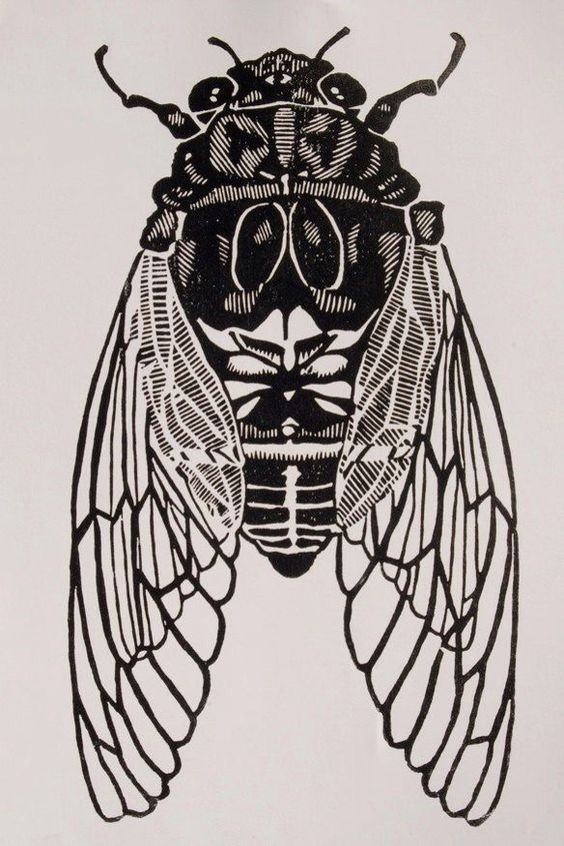 Black bug with closed clear wings tattoo design