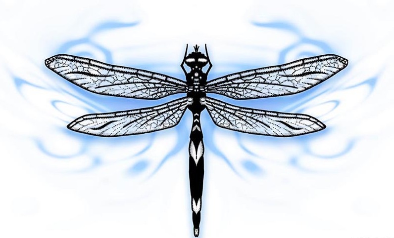 Black dragonfly on blue swirly background tattoo design