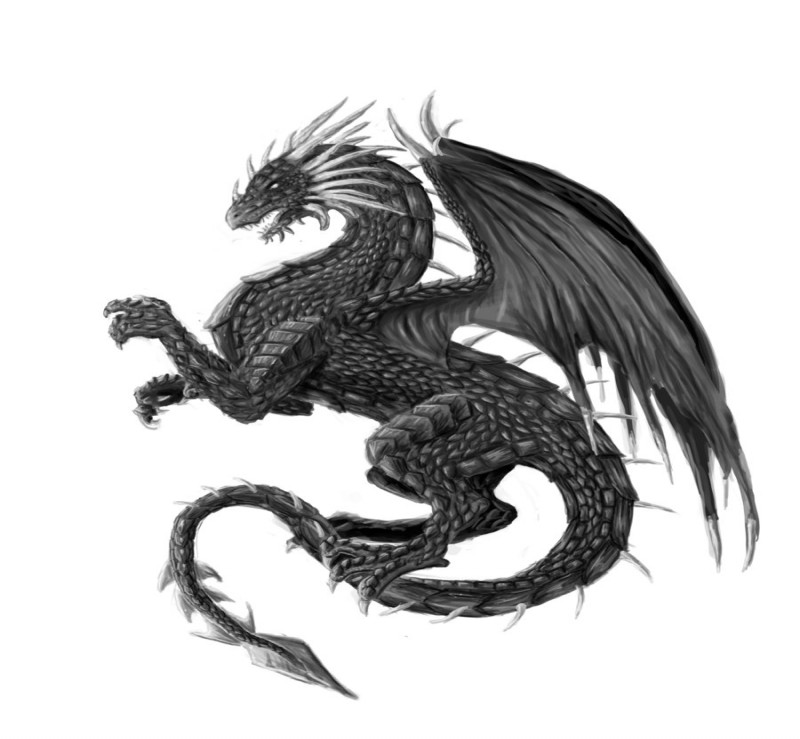Black fairy dragon with hirned back tattoo design by Freyjacelebril Catpaw