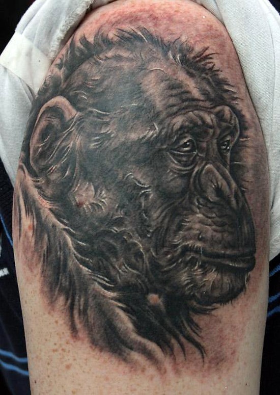 nero soffice testa scimpanze` tatuaggio su spalla
