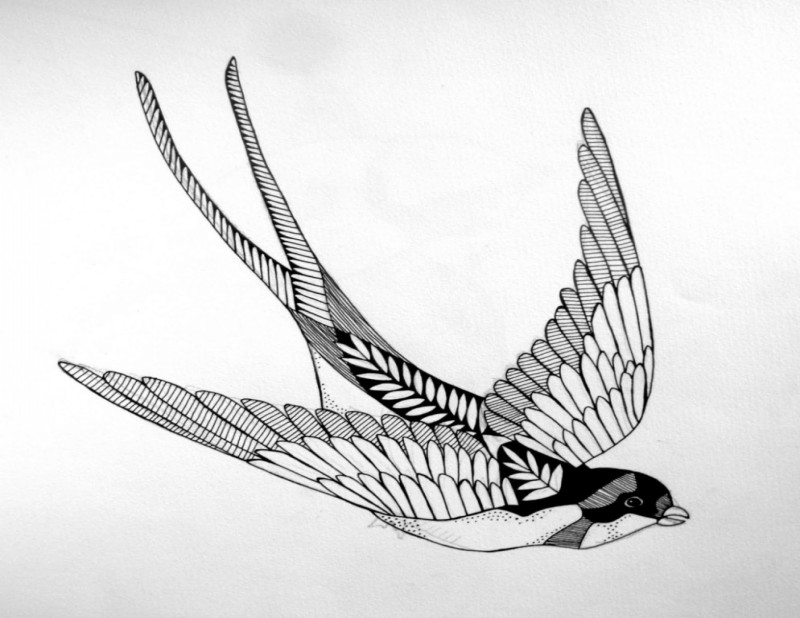 Black flying sparrow tattoo design