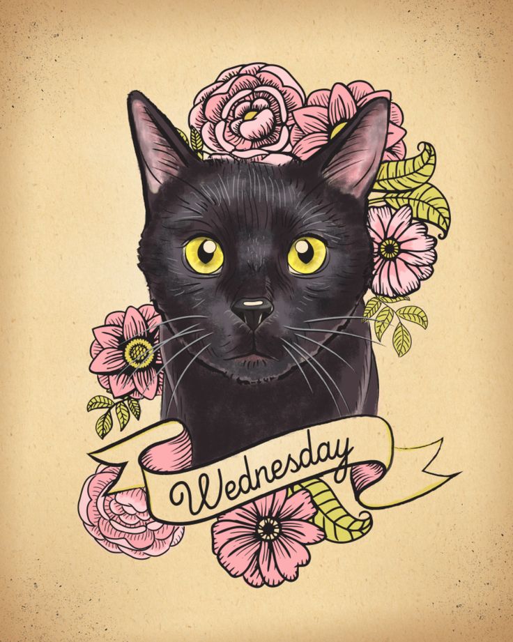Black googled cat surrounded with pink flowers and quoted stripe tattoo design