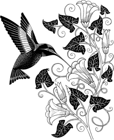 Black hummingbird and flowered vine branch tattoo design
