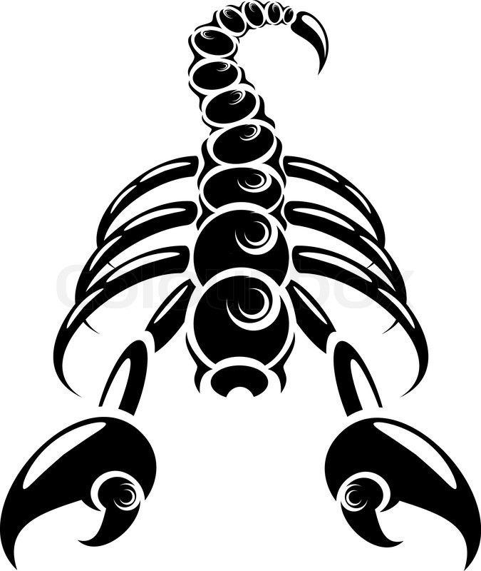 Black isolated scorpion in danger pose tattoo design