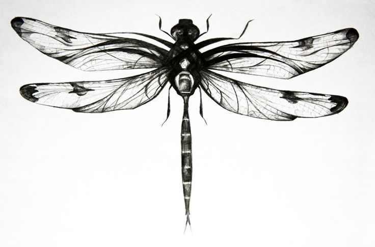 Black static dragonfly tattoo design