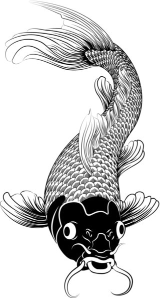 Black surprised koi fish tattoo design
