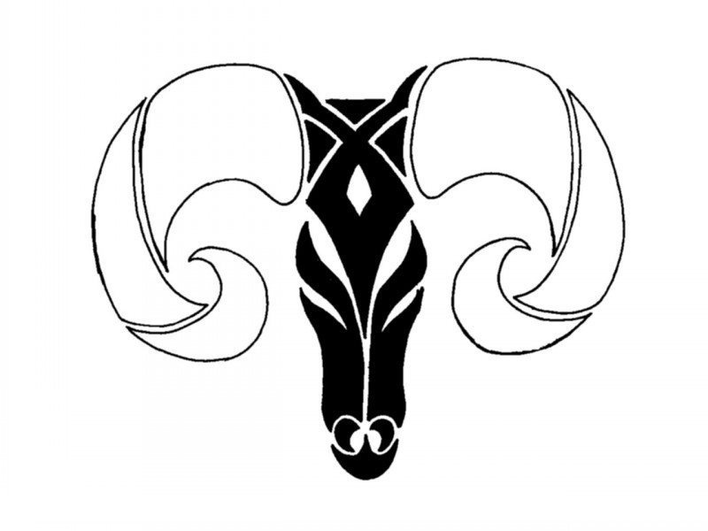 Black tribal ram head with big white horns tattoo design