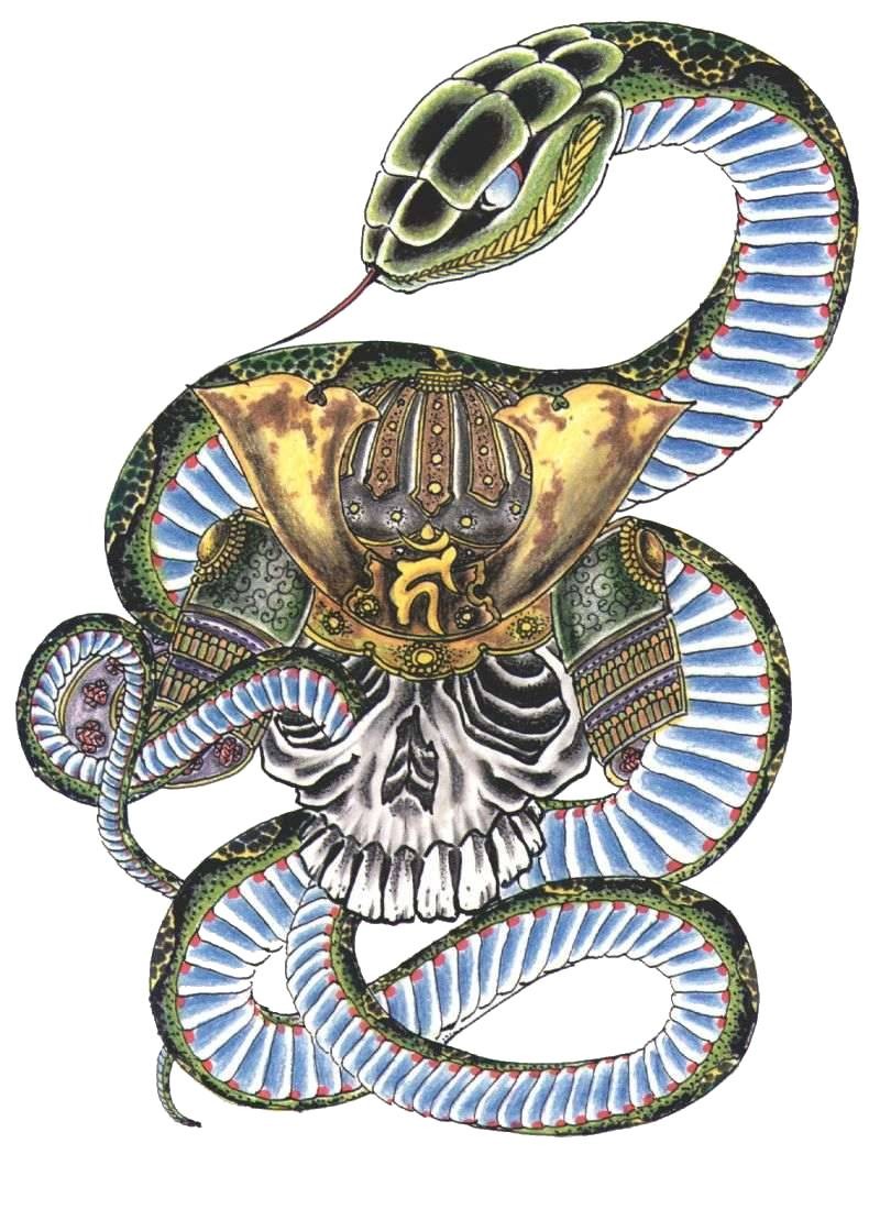 Blue-belly snake embracing skull in golden helmet tattoo design