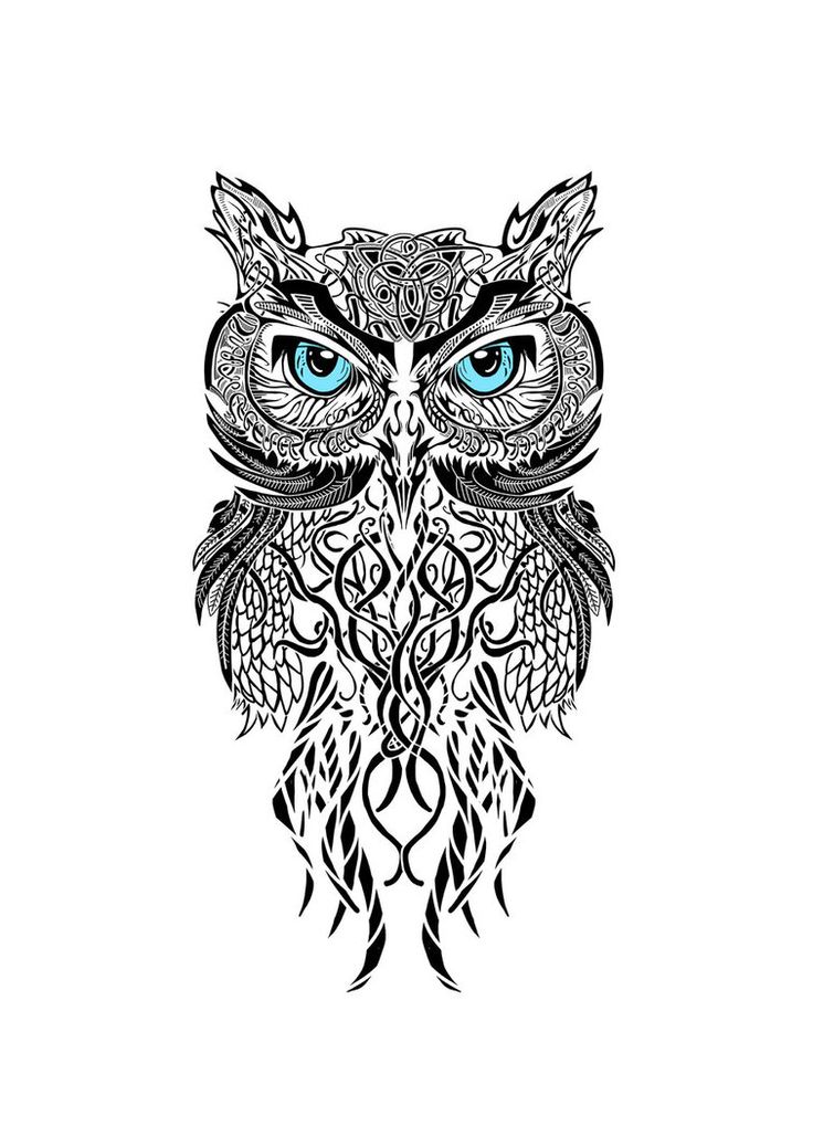 Blue-eyed patterned owl tattoo design
