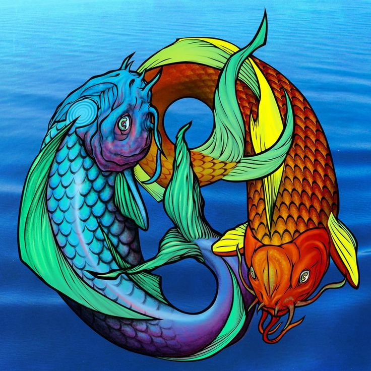 Blue and orange koi fishes with turquoise and yellow fins tattoo design