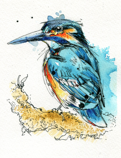 Blue watercolor bird tattoo design by Finch Fight