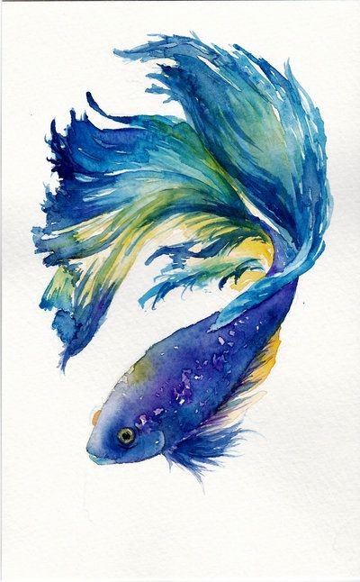 Blue watercolor fish tattoo design