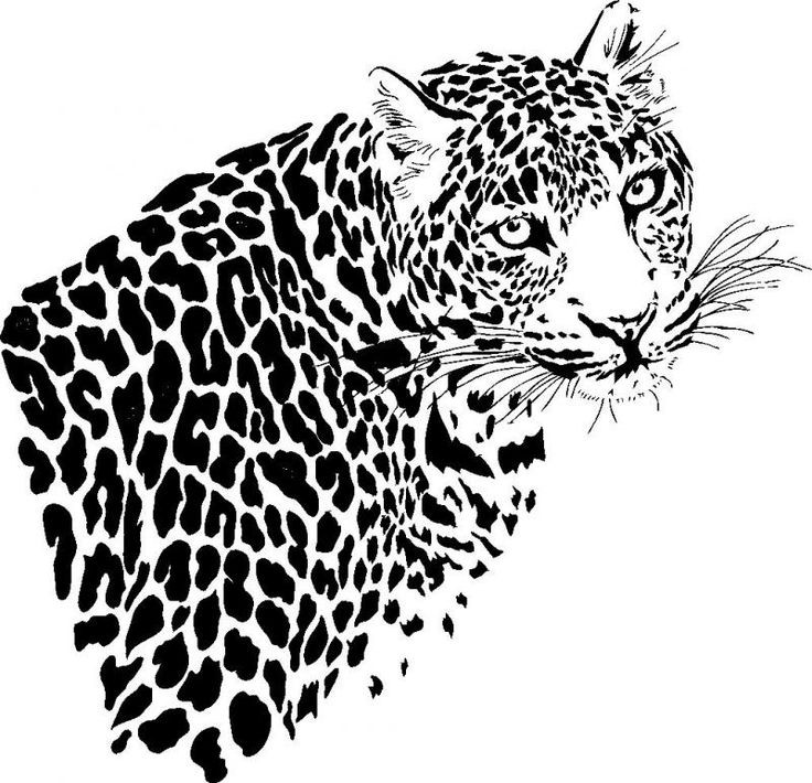 Bonny black-and-white leopard tattoo design