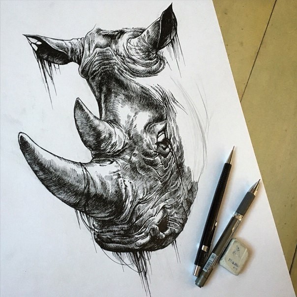 Bonny black-and-white rhino head tattoo design