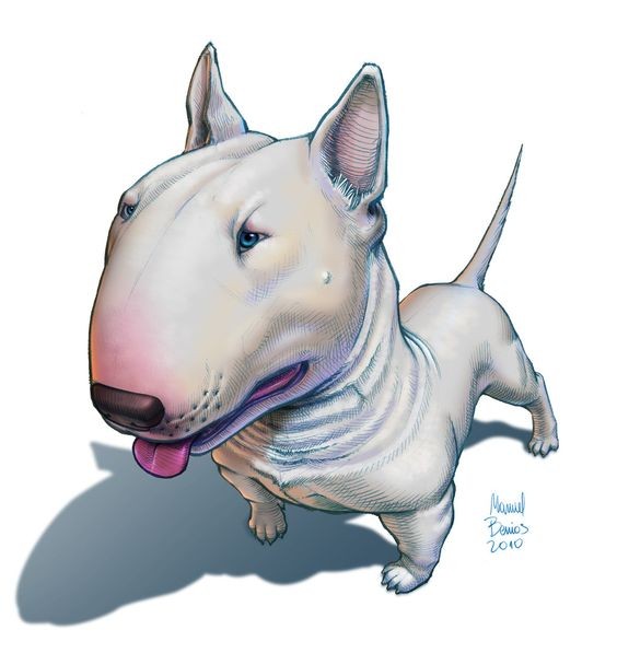 Bonny cartoon white bull terrier dog tattoo design