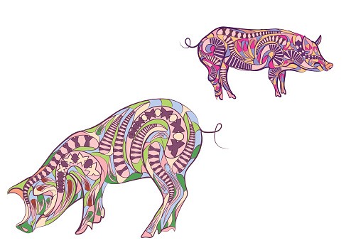 Bonny multicolor patterned pigs tattoo design