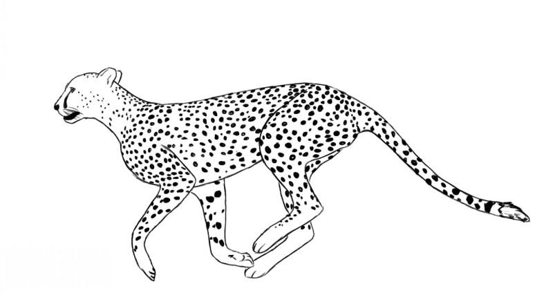 Bonny outline running cheetah tattoo design