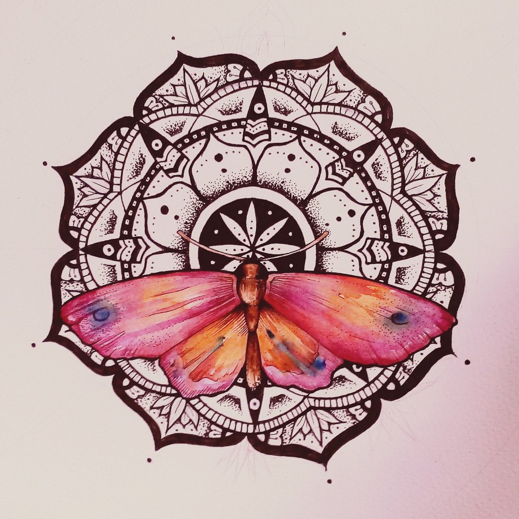 Bonny pink-and-orange butterfly tattoo design on black mandala by Elenoosh