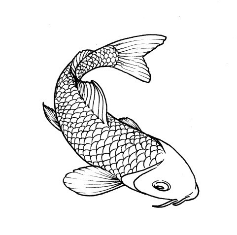 Bonny plain outline fish tattoo design