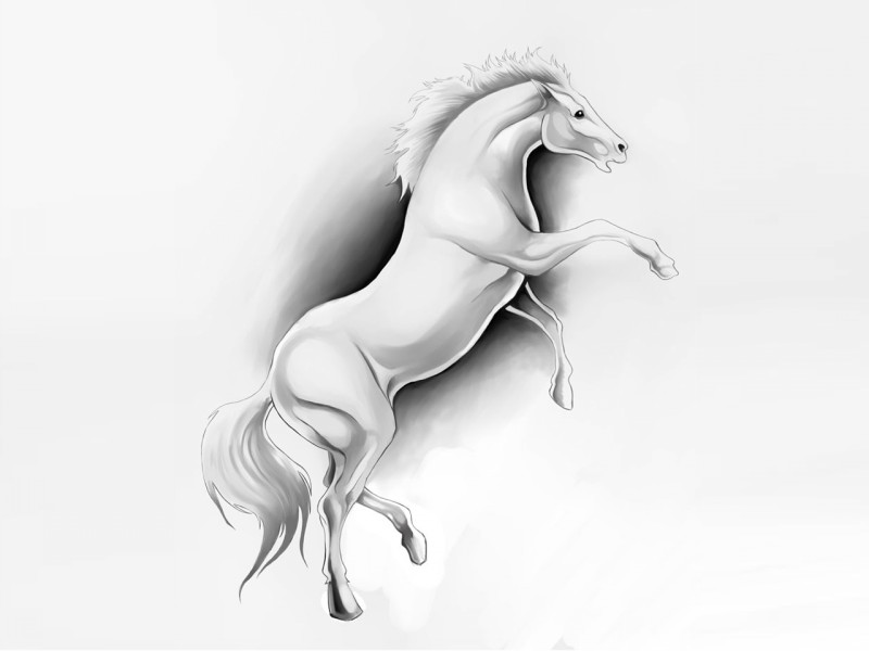 Bonny white jumping horse tattoo design
