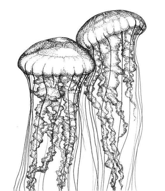 Breathtaking dotwork jellyfish couple tattoo design